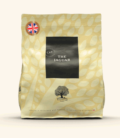 Online Pet Store Singapore